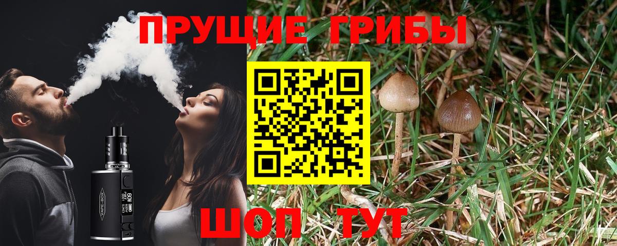 Кушва  Псилоцибиновые грибы прущие грибы  Галлюциногенные грибы мицелий  Вход с VPN 