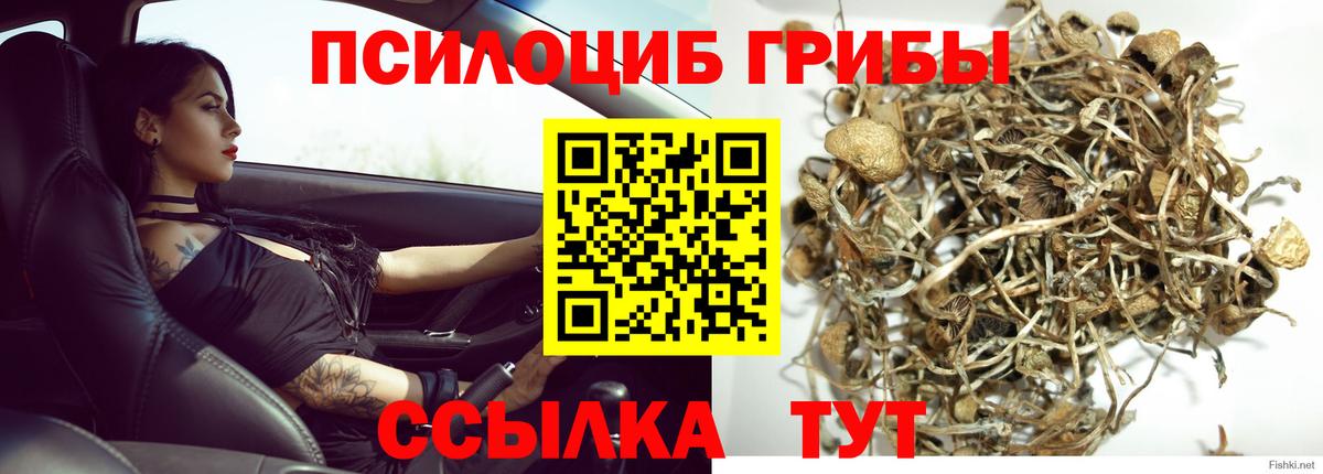 Галлюциногенные грибы MAGIC MUSHROOMS Кушва